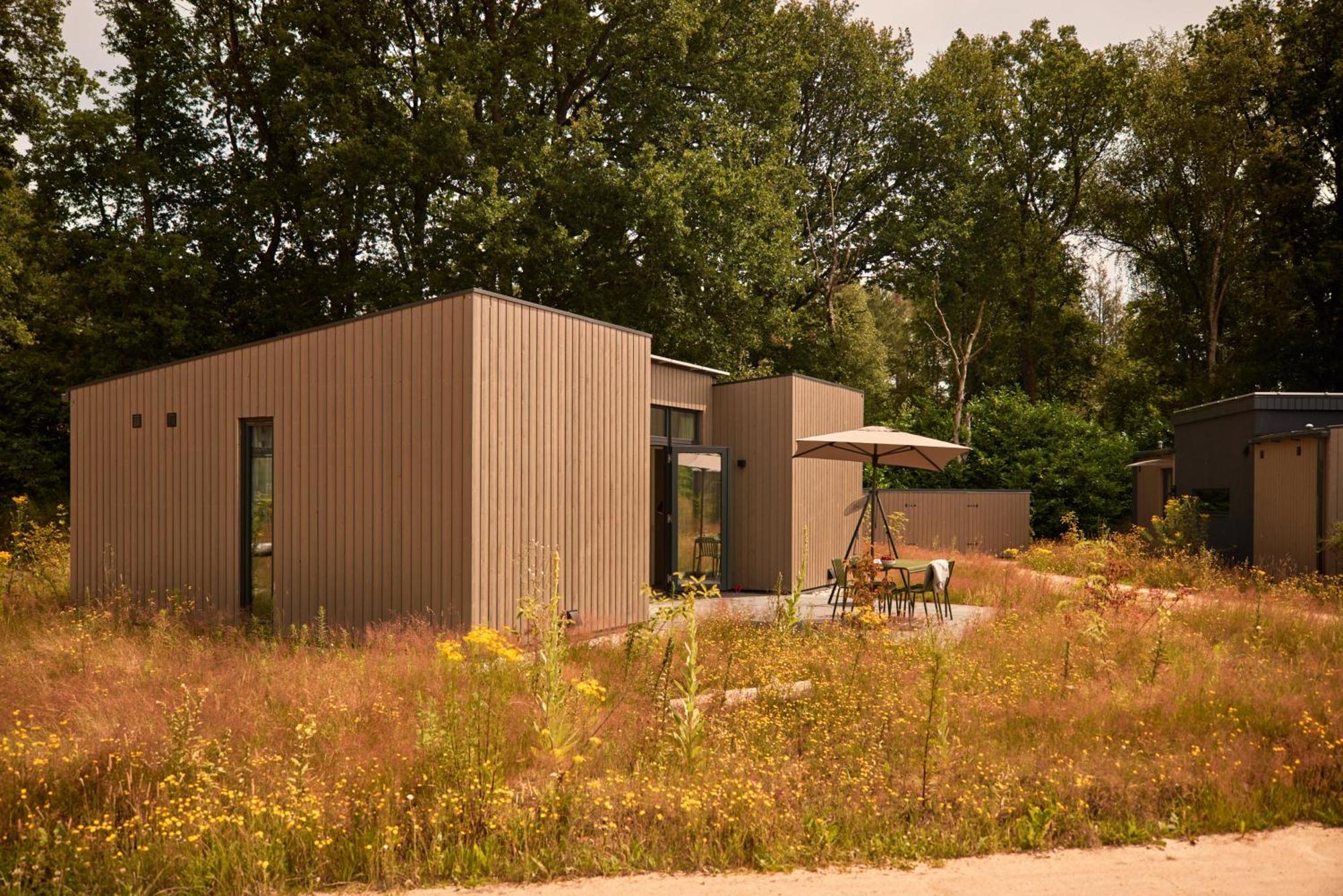 Dutchen Zeegser Duinen Suitelodges Bagian luar foto